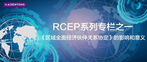 區(qū)域全面經(jīng)濟伙伴關(guān)系協(xié)定（RCEP）的影響與意義——聚焦數(shù)字技術(shù)服務